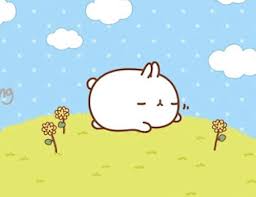 Check spelling or type a new query. 100 Gambar Wallpaper Lucu Background Hd Keren Dan Unik Sinyal Android
