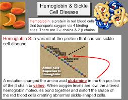 The hbb gene provides instructions for making one part of hemoglobin. Yqxslw G6mm3dm