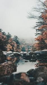 Aesthetic Wallpaper Animal Wallpaper Black Wallpaper Colorful Wallpaper Flower Wallpaper Iphon Iphone Wallpaper Landscape Nature Wallpaper Art Wallpaper Iphone