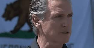 Anti-Trump, Musk protests of the week around America, in gripping photos