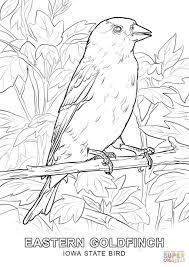 Click The Iowa State Bird Coloring Pages Bird Coloring Pages State Birds Coloring Pages