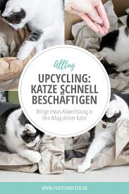 Diy katzen kratzbrett selber machen diy coole katzenmöbel selber machen; Katze Beschaftigen 3 Ideen Mit Verpackungspapier Alltag Katzen Beschaftigen Verpackungspapier Katzen