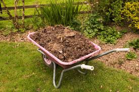 What do mushy banana peels, spent coffee grounds, limp lettuce, and what can you put in a compost bin? Types Of Compost Diy