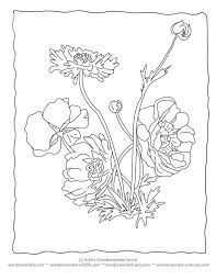 Coloring pages for kids realistic flowers coloring pages 2. Realistic Flower Coloring Pages Coloring Home