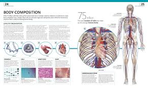Full body muscular diagram pdf. The Complete Human Body 2nd Edition The Definitive Visual Guide Roberts Alice Dr 9781465449184 Amazon Com Books