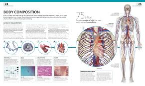 Interactive human muscular system full body. The Complete Human Body 2nd Edition The Definitive Visual Guide Roberts Alice Dr 9781465449184 Amazon Com Books