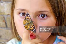 4,094 Vanessa Good Stock Photos, High-Res Pictures, and Images