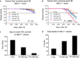 What day was 15 november 2020 hours until 15 november 2020 how many weeks until 15 november 2020 how many days until 15 november it was a military coup d'�tat that occurred on november 15, 1889, which established brazil as a republic, overthrowing the constitutional monarchy. Protons And High Linear Energy Transfer Radiation Induce Genetically Similar Lymphomas With High Penetrance In A Mouse Model Of The Aging Human Hematopoietic System International Journal Of Radiation Oncology Biology Physics