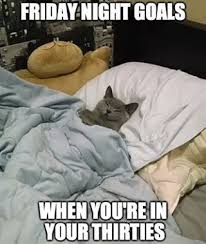 Instagram Photo By Nicole Tinkham May 8 2016 At 1 37am Utc Good Night Funny Funny Animal Pictures Funny Cats