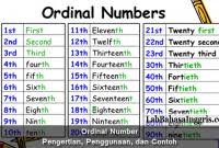 Check spelling or type a new query. Ordinal Numbers 1 100 Grammar Co Id