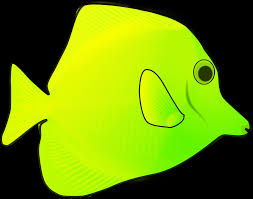 Fish clipart, illustrations, vectors, fish hooks, goldfish, jellyfish and. Yellow Fish Clipart Free Download Transparent Png Creazilla