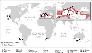 Sirf atlas vi 800*480 display glonass antenna. Groundwater Dependent Ecosystems In Coastal Mediterranean Regions Characterization Challenges And Management For Their Protection Sciencedirect