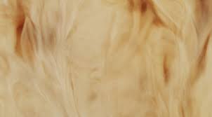 Image result for Beige 1983 Caloric