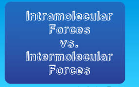 1) define intermolecular reaction 2) detine intramolecular. Intramolecular Vs Intermolecular Forces By Katherine Fore