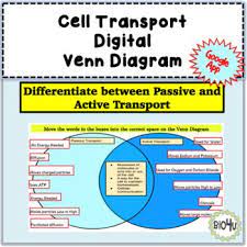 Cell Transport Digital Venn Diagram Cell Transport Venn Diagram Cell Membrane Structure