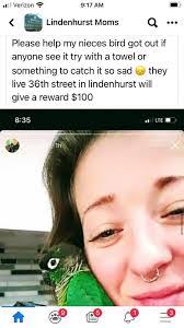 Marissa Clemens's Instagram, Twitter & Facebook