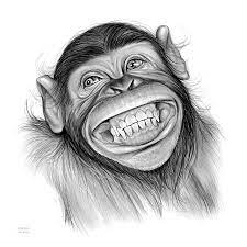Chimpanzee Drawing Chimpanzee By Greg Joens Monkey Drawing Pencil Drawings Of Animals Animal Drawings