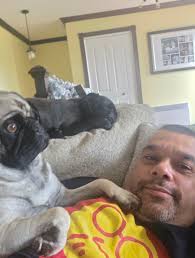 Does your pug protect you from the 'enemy'. Aka the stuff you can't see but  must be barked and growled at?