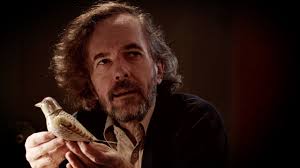 Kurzfilme im MDR: Nach mir die Sintflut