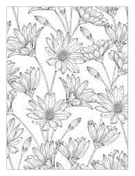 Beautiful Flowers Detailed Floral Designs Coloring Book Preview Clippedonissuu Designs Coloring Books Flower Coloring Pages Coloring Pages