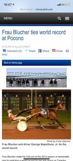 Frau blucher horse page with past performances, results, pedigree, photos and videos. Coming Soon To Germany Frau Traber Gestut Maleitzke Schockemohle Facebook