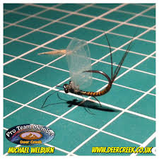 Realistic Olive Find Me On Facebook At Mnm Flytying Also On Twitter Mnmflytying Www Deercreek Co Fly Fishing Lures Fly Fishing Boats Fly Fishing Knots
