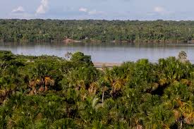 Hier sind alle informationen über den amazonas in . Health And Sustainability In The Ecuadorian Amazon Proamazonia