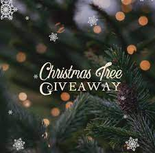 Severts Christmas Tree Farm Home Facebook