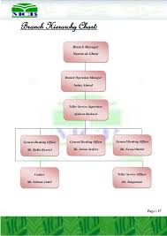 Branch Banking Organizational Structure Of Bdo Coursework