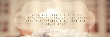 Enjoy The Little Things In Life For One Day You May Look Back And Enjoy The Little Things In Life For One Day You May Realize They Were The Big Things Facebook Cover Fb Quote Facebook Cover Special Quotes