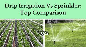 Drip Irrigation Vs Sprinkler Pros And Cons Of Two Systems