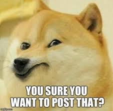  19 Ide Doge Meme Humor Hewan Lucu Meme Anjing