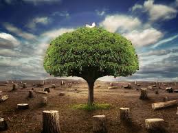 Free for commercial use no attribution required high quality images. 3d Wallpapers Desktop Hd Free Download Group 86