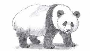 Go over your dark outlines with a 2b pencil and add layers with an 8b pencil to make your shading darker. Risunok Karandashom Panda 20 Tys Izobrazhenij Najdeno V Yandeks Kartinkah Panda Drawing Panda Sketch Step By Step Drawing