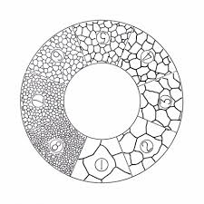 G41 Astm Grain Sizing Austenite