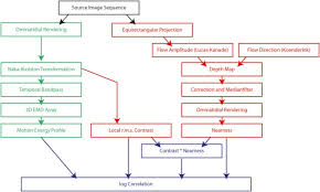 Flow Chart Of The Model Of The Fly Visual Motion Pathway