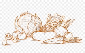 Drawing Vegetable Plant Sketch This tutorial shows the sketching and drawing steps from start to finish. drawing vegetable plant sketch