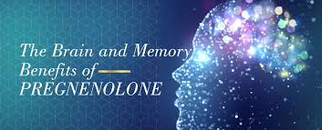 Pregnenolone: A Precursor Hormone with Potential Memory and Brain