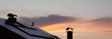 This independent house's price is rs 4.8 cr. Das Energieautarke Haus Ist Unabhangiges Wohnen Moglich