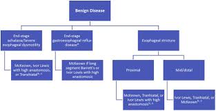 The new position is part of wilhelmsen ship management's recent organizational restructuring to tackle the rapid changing industry requirements in ship operations. Open Minimally Invasive And Robotic Approaches For Esophagectomy Thoracic Key