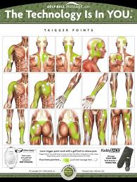 Massage Trigger Points With Golf Ball Great Charts