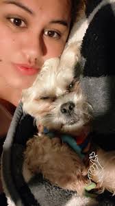 Bienvenidos al grupo tengo un SHIHTZU. Este es un espacio ameno, de  aprendizaje y divertido sobre el cuidado y belleza de nuestro SHIHTZU en  casa. Te invito también a que te suscribas