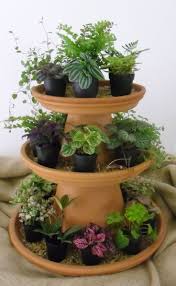 Ittie Bitties Bei Igc Bei Bitties Igc Ittie Helmina Dillinger Herb Garden Planter Plants Succulents Diy