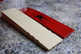 You can make a cool car, a fast car, or just something you think is fun to make! Fastest Pinewood Derby Designs Pengu