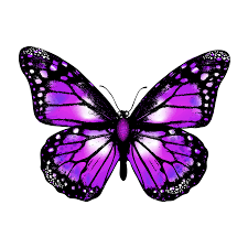 Level butterfly damen zum kleinen preis hier bestellen. Transparent Background Purple Butterfly Png Novocom Top