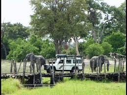 Moremi game reserve is situated in the central and eastern areas of the okavango, and includes the moremi tongue and chief's island, boasting one of the rustic third bridge campsite, situated near the pretty sekiri river, flanked with thick stands of papyrus, is a favourite, creating lasting memories of. North Gate Khwai Camp Moremi Botswana Travel Guide Youtube