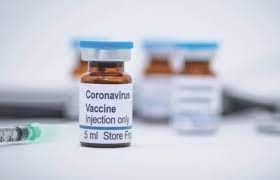 • ophinni y, hasibuan a, widhani a, maria s, koesnoe s, et al. Bio Farma Jual Vaksin Covid 19 Rp 200 Ribu Berapa Anggaran