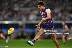 105,175 Pro Heath Stock Photos, High-Res Pictures, and Images