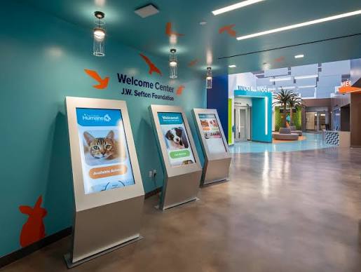 Pet transport