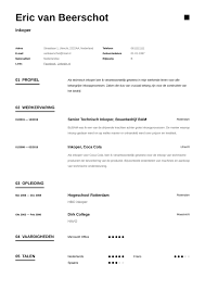 Cv Voorbeeld Inkoper Gratis Downloaden Perfect Cv